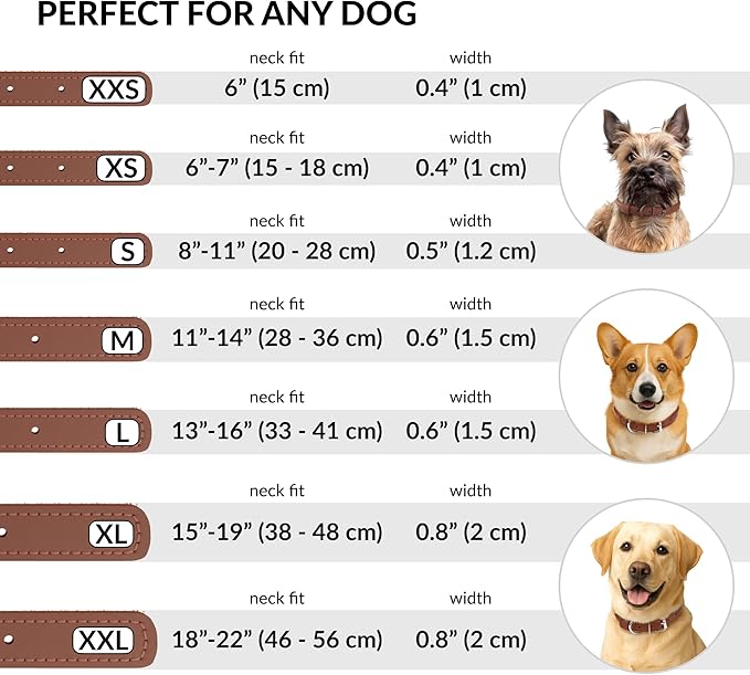 CollarDirect Rolled Leather Dog Collar, Soft Padded Round Puppy Collar, Handmade Genuine Leather Collar Dog Small Large Cat Collars 13 Colors (13-16 Inch, Cinnamon Smooth)