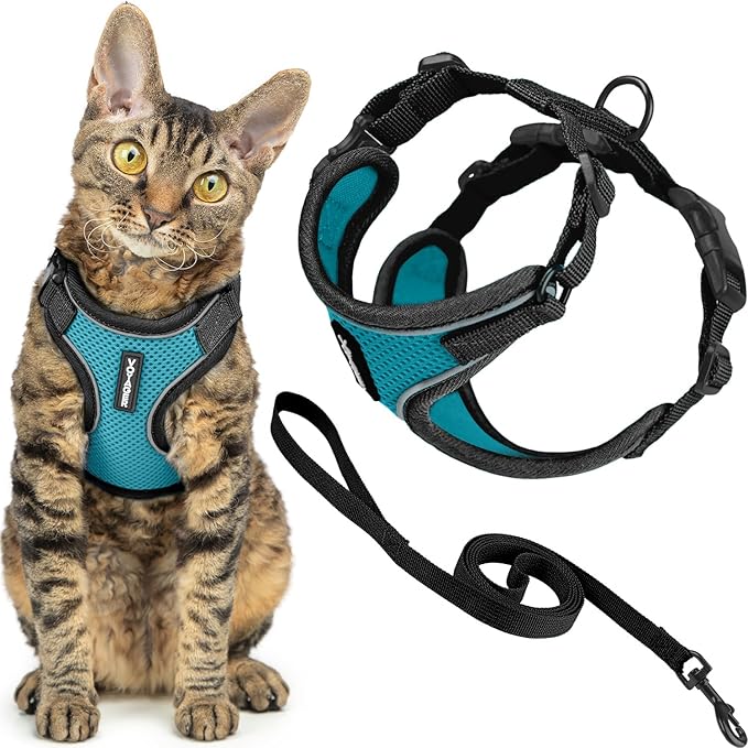 Voyager Escape Proof Cat Harness and Leash Set with Reflective Stitching, Neoprene Handle 5ft - Supports Small, Medium and Large Cats, Kittens for Walking by Best Pet Supplies - BT-Turquoise, S
