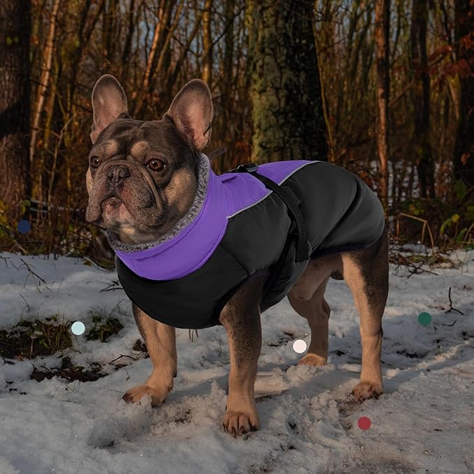 IECOii Extra Warm Dog Coat - Reflective, Adjustable Jacket for Cold Weather, Soft Fleece Turtleneck for Small to Extra Large Dogs