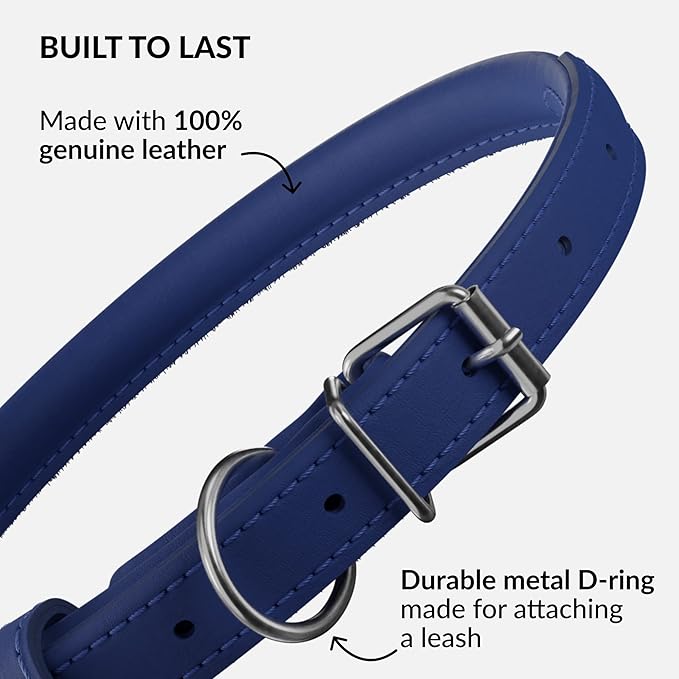 CollarDirect Rolled Leather Dog Collar, Soft Padded Round Puppy Collar, Handmade Genuine Leather Collar Dog Small Large Cat Collars 13 Colors (8-11 Inch, Deep Blue Smooth)