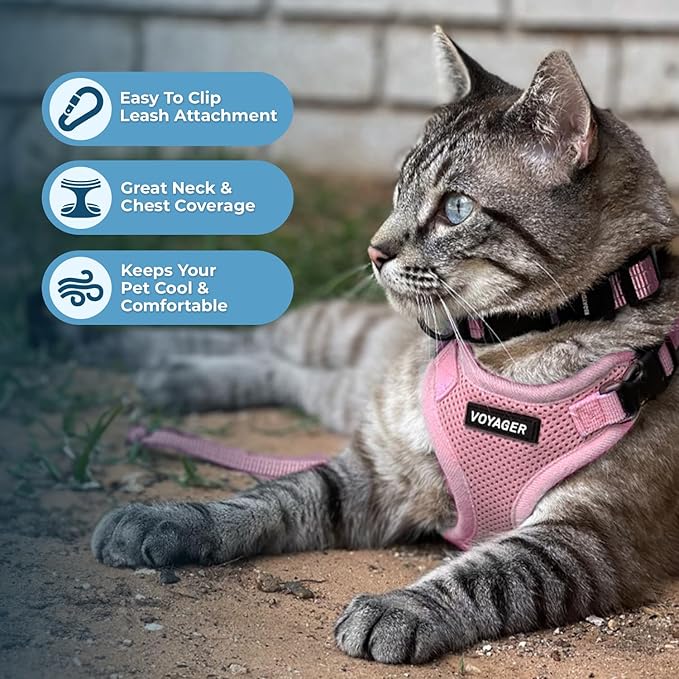 Voyager Step-in Lock Adjustable Cat Harness w. Cat Leash Combo Set with Neoprene Handle 5ft - Supports Small, Medium and Large Breed Cats by Best Pet Supplies - Pink, XS