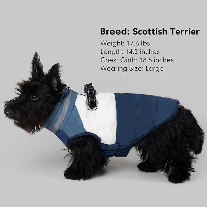 azuza Dog Jacket for Small Dogs Waterproof Dog Coat with Reflective Strips and Harness Built in Warm Fleece Dogs Winter Coat Windproof with Back Zipper, Navy L