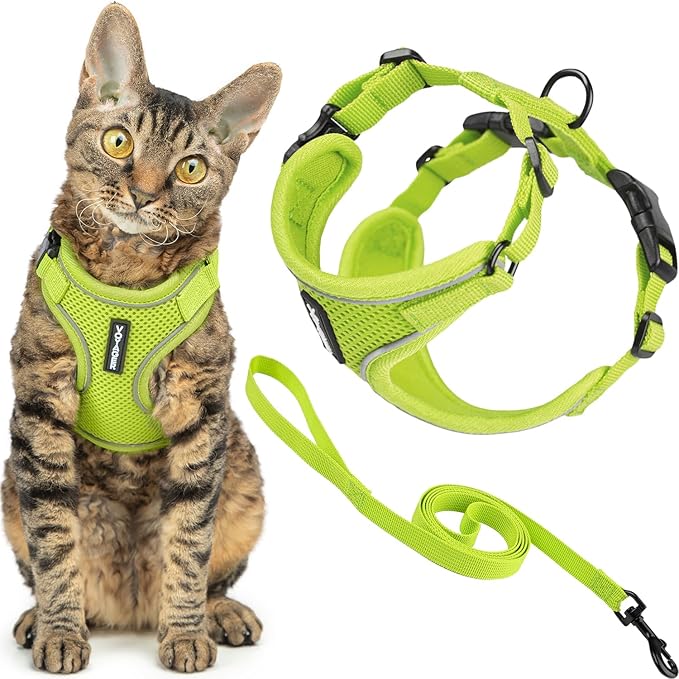 Voyager Escape Proof Cat Harness and Leash Set with Reflective Stitching, Neoprene Handle 5ft - Supports Small, Medium and Large Cats, Kittens for Walking by Best Pet Supplies - Lime, XXXS