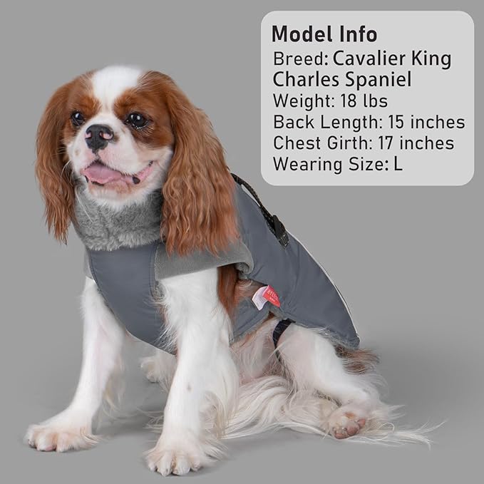 KYEESE Waterproof Dog Coat, Warm Windproof Jacket, Turtleneck Winter Dog Coats for Small Dogs with Leash Hole, Reflective Pet Clothes & Outdoor Apparel, Thick Fleece-Lined Winter Jacket, Gray, Large