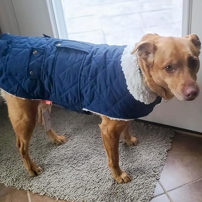 KYEESE Dog Coat Soft Dogs Jacket with Pocket Warm Pet Winter Puffer Coat with Leash Hole Waterproof Pets Clothes for Cold Weather Thick Dog Coats for Medium Dogs Windproof Pet Sweater