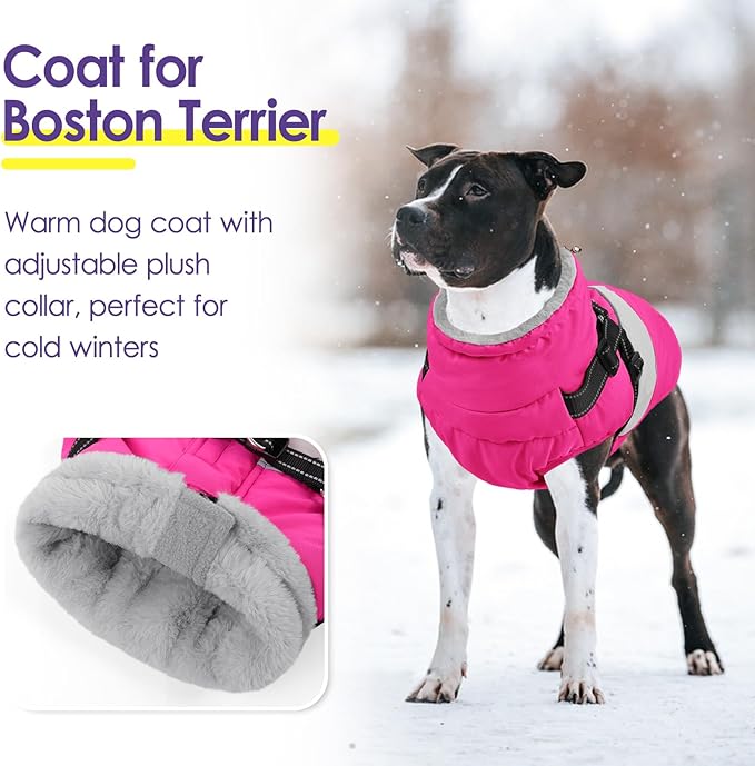 SUNFURA Small Dog Coat with Harness Built in, Warm Dog Jacket Winter with Zipper On Back, Waterproof Pet Snow Jacket Snowsuit Pet Sweater Clothes for Puppy, Hot Pink XS