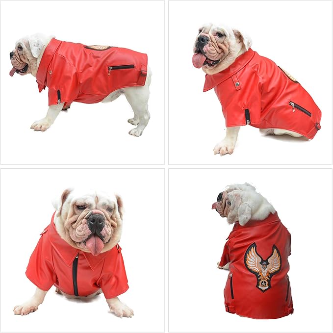 Lovelonglong Cool Dog Leather Jacket, Warm Coats Dogs Windproof Cold Weather Coats for Large Medium Small Dogs with Eagle Embroidery Red B-L