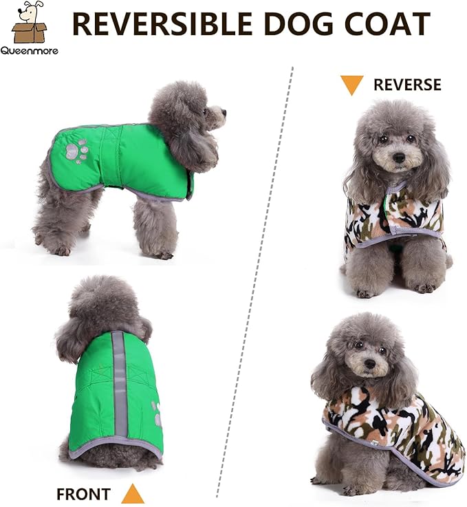 Queenmore Dog Winter Coat, Cold Weather Fleece Jacket for Dogs, Waterproof Reflective Reversible, for Small, Medium and Large Dogs (Green, XS)