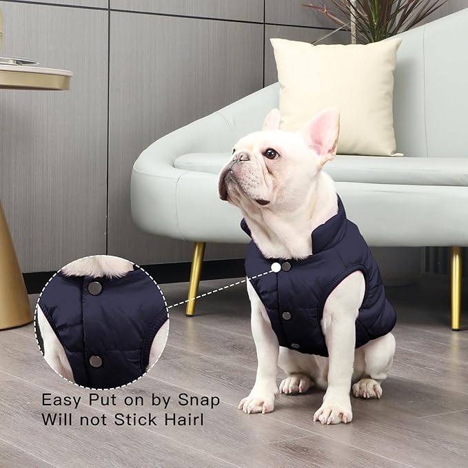 2 Layers Fleece Lined Warm Dog Jacket for Winter Cold Weather,Soft Windproof Large Dog Coat,Blue XXL