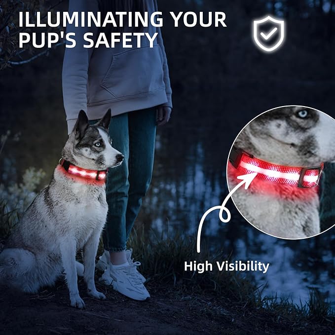 Super Bright LED Dog Collar - Fully Waterproof & Adjustable Glow Collar - USB-C Rechargeable for Night Walking, Safety - Flashing Lighted Collar for Dogs(Red,Large)