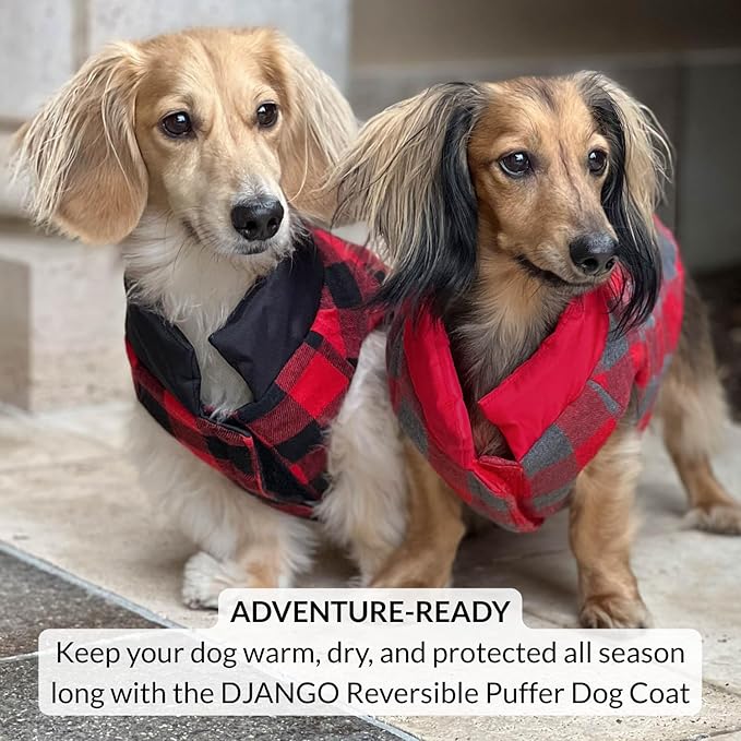 DJANGO Reversible Puffer Dog Coat – Warm Winter Dog Jacket & Water-Repellent Insulated Dog Coat with Harness Hole, Windproof, Adjustable Fit Vest for Small & Medium Dogs, Dachshunds – Black, Medium