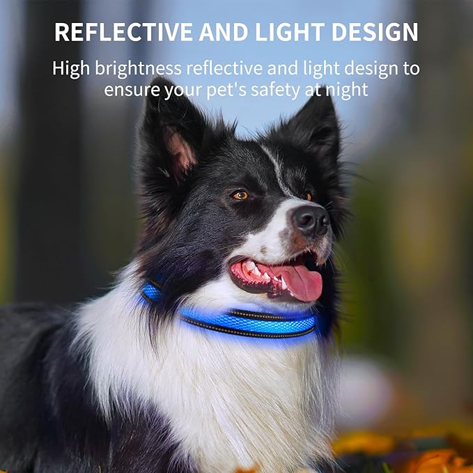 Upgraded Air Tracker Tags Dogew Collar with QR Code & LED Light, IP68 Waterproof Rechargeable Pet Collar with Reflective Strips, Heavy Duty Dog Collars for Small/Medium/Large Dogs (Blue, M(16-20 in))