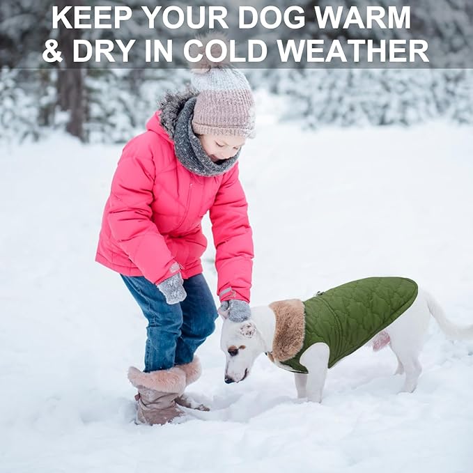 BEAUTYZOO Winter Dog Coat with Harness Built in, Warm Dog Puffer Jacket Vest Padded Fleece Cold Weather Coats Windproof Waterproof Snow Jackets Clothes for Small Medium Puppy, Green XS