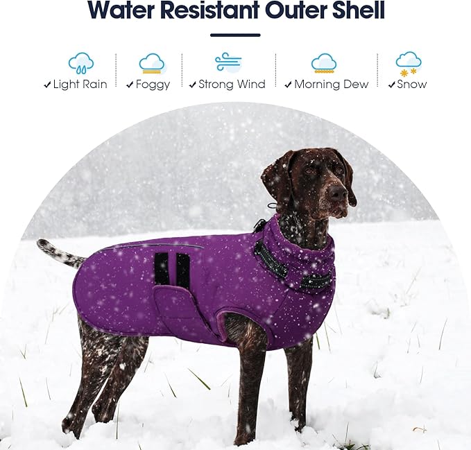 IECOii Winter Dog Coats for Large Dogs, Dog Snow Jacket with Built in Collar & Reflective Strips, Warm Windproof Fleece Dogs Jacket for Cold Weather, Adjustable Easy On Pet Snowsuit, Purple - XL