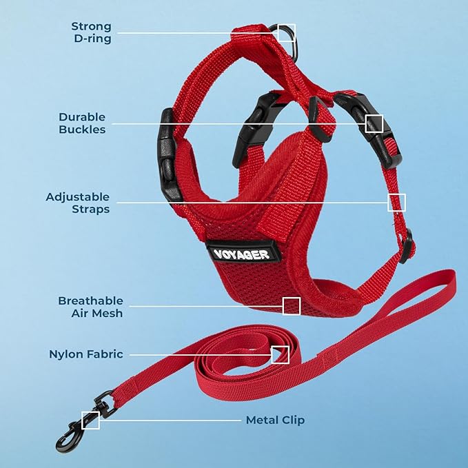 Voyager Step-in Lock Adjustable Cat Harness w. Cat Leash Combo Set with Neoprene Handle 5ft - Supports Small, Medium and Large Breed Cats by Best Pet Supplies - Red, XXS