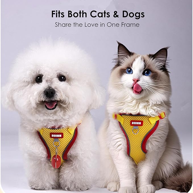 Cat Harness and Leash Set for Walking – Escape-Proof Reflective Vest for Cats and Small Dogs, Adjustable Soft Air Mesh with Pressure-Reducing Design, 4.92ft (Light Brown & Blue, XL)