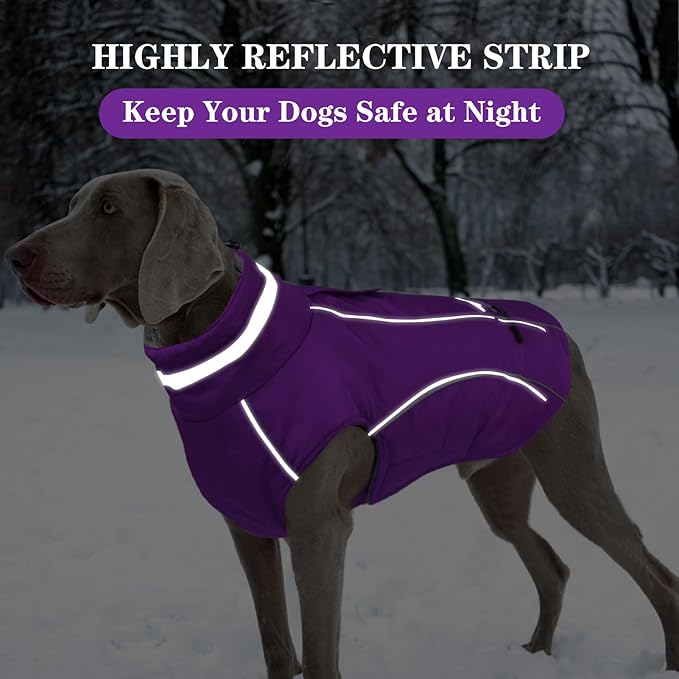 Doglay Dog Winter Coat, Waterproof Dog Jacket with Pocket, Reflective Turtleneck Pet Winter Jackets, Warm Puppy Snow Jacket for Small Medium Large Dogs