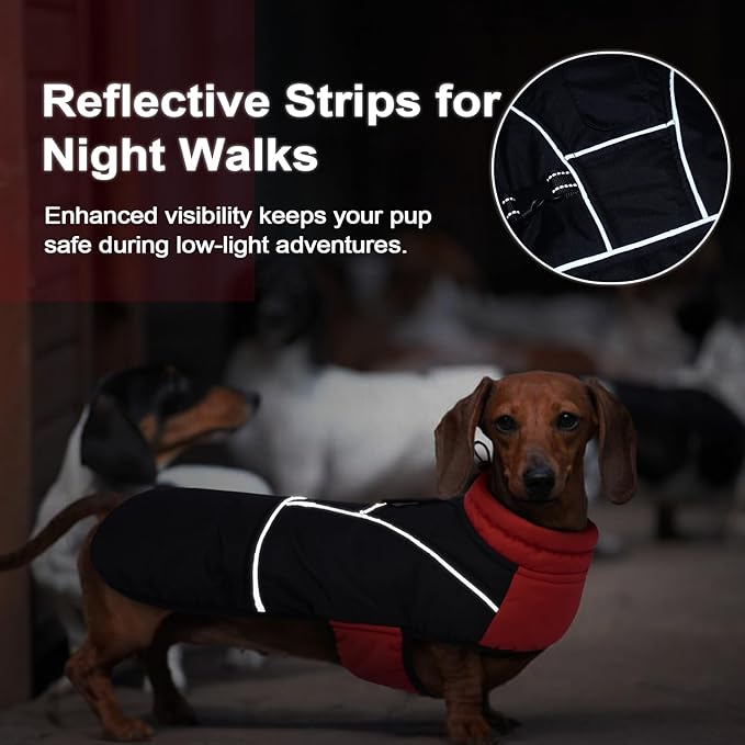 Lelepet Dachshund Coat Warm Dog Winter Coat Waterproof Dog Jacket with Fleece Lining, Reflective Outdoor Dachshund Snowsuit with Leash Hole Adjustable Neckline,Coats for Small Medium Dogs,Red, M