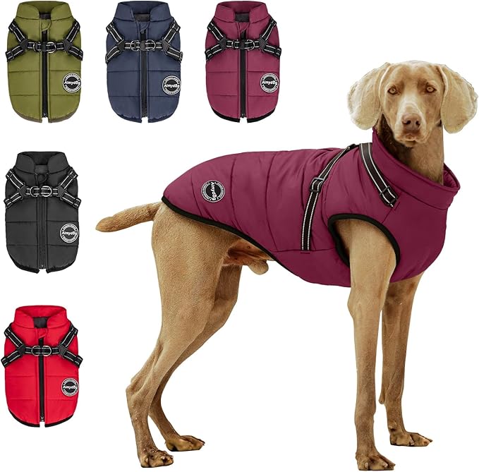 Warm Winter Coat, Fashion Sports Dog Jacket with Built-in Harness, Reflective & Adjustable Comfortable Pet Vest, Waterproof Windproof Apparel for Small Dogs (Purple)