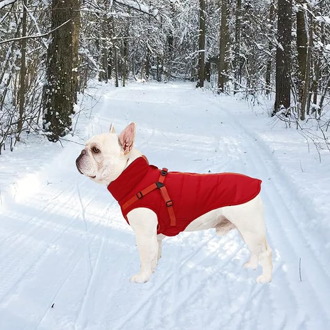 Geyecete Winter Warm Coat Waterproof Dog Winter Jacket with Harness Traction Belt,Windproof Pet Outdoor Jacket Dog Autumn-Red-L