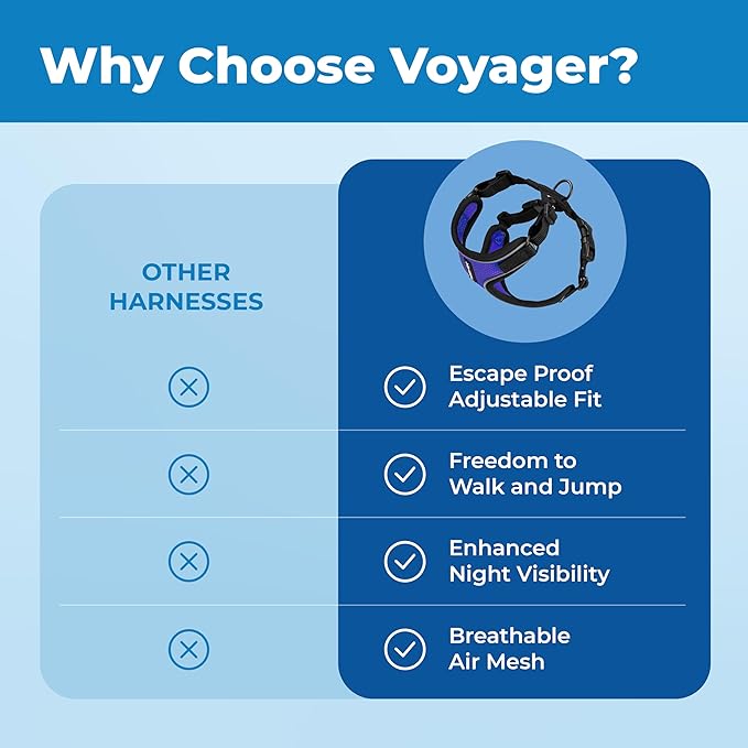 Voyager Escape Proof Cat Harness and Leash Set with Reflective Stitching, Neoprene Handle 5ft - Supports Small, Medium and Large Cats, Kittens for Walking by Best Pet Supplies - BT-Royal Blue, XXXS