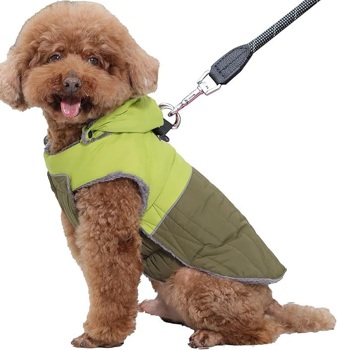 Detachable Hooded Dog Coat with Harness for Small Dogs,Super Warm Fleece Puppy Jacket for Cold Winter Doggie Coats,Green XS