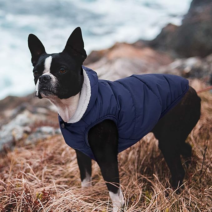 Fleece Hoodie, Windproof Waterproof Coat, Winter Warm Jacket, Cold Weather Pet Apparel Clothes Vest for Small Medium Large Dogs (S, Blue)