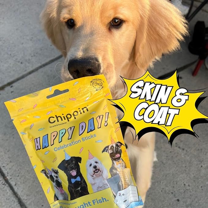 Chippin Giftable Soft Dog Treat | Wild-Caught Fish & Pumpkin Jerky for Dogs | Dog Birthday, Adoption, No Chicken, Grain-Free, Hypoallergenic | Made in USA, 4-Pack