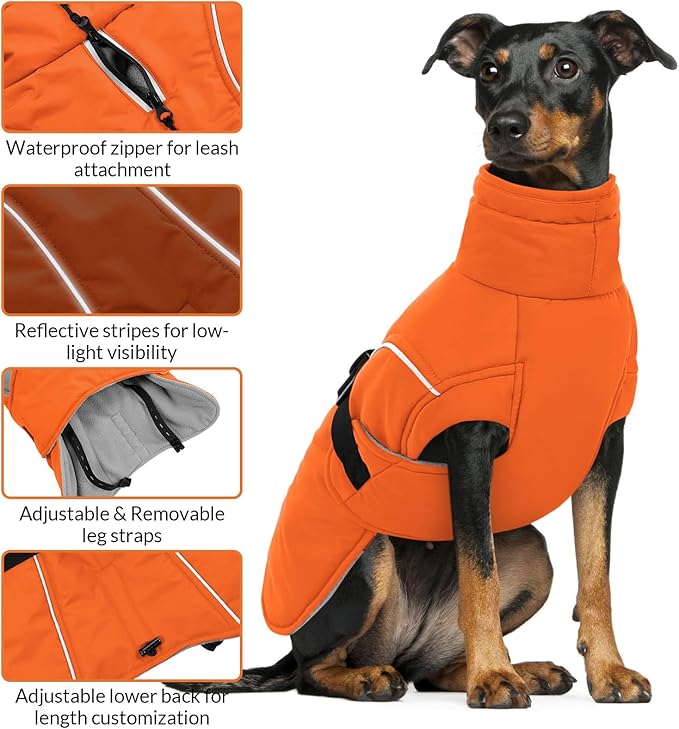 Queenmore Winter Dog Coat Warm Dog Jacket Vest Waterproof Puffer Fleece Snowsuit Adjustable Buckle Leash Hole Reflective Cold Weather Parka for Small Medium Large Dogs Girl Boy Orange S
