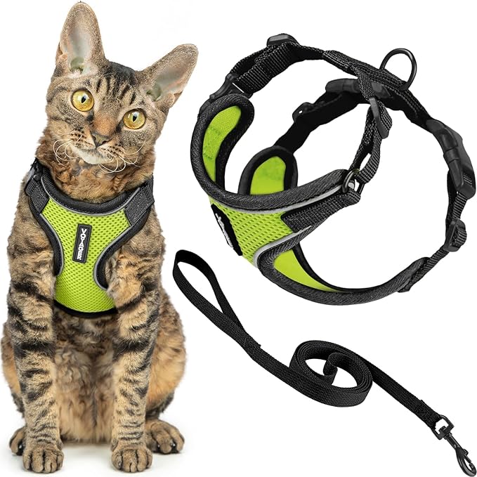 Voyager Escape Proof Cat Harness and Leash Set with Reflective Stitching, Neoprene Handle 5ft - Supports Small, Medium and Large Cats, Kittens for Walking by Best Pet Supplies - Black Trim-Lime, XXS