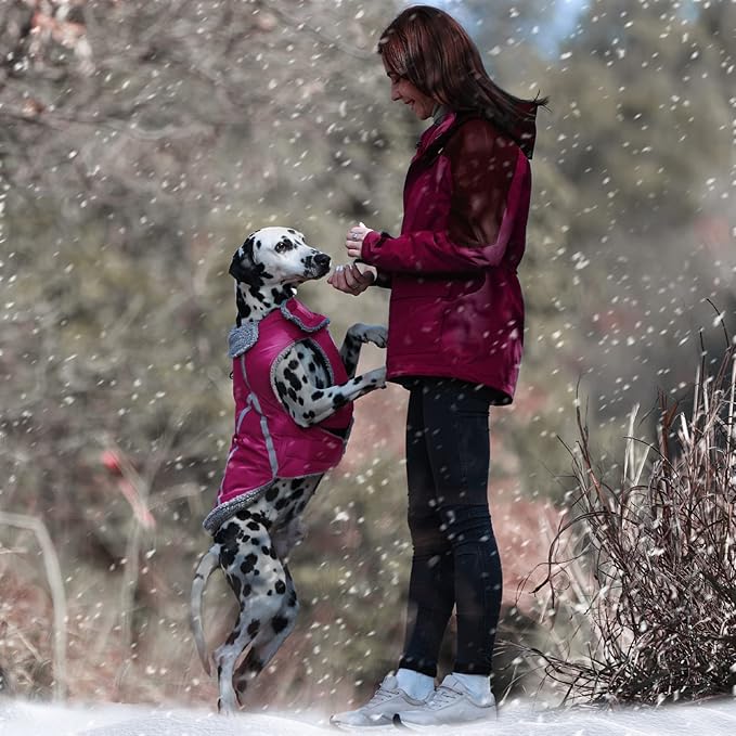 VIVAGLORY Frostfit Dog Coat, Dog Jacket for Winter & Cold Weather, Warm Fluffy Fleece Lined Water Resistant Reflective for Puppy, Coat with Velcro Fastening & Leash Hole, XS, Fuchsia