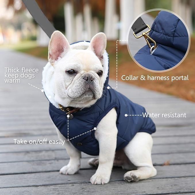 Windproof Waterproof Dog Coat Fleece & Cotton Lined Warm Jacket, Cold Weather Pet Apparel Clothes Vest for Small to Large Dogs (L, Blue)