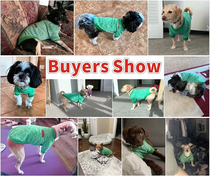 Idepet Pet Dog Classic Knitwear Sweater Fleece Coat Thickening Warm Pup Dogs Shirt Winter Pet Dog Cat Clothes Puppy Customes Clothing for Small Dogs (XXS. Green)