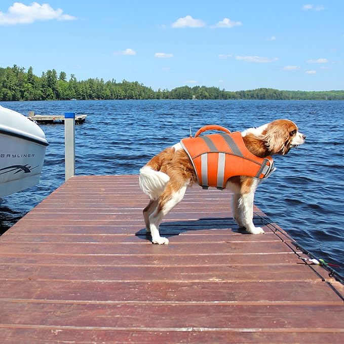 Kuoser Dog Life Jacket with Reflective Stripes, Adjustable High Visibility Dog Life Vest with High Flotation Swimsuit for Small Medium and Large Dogs