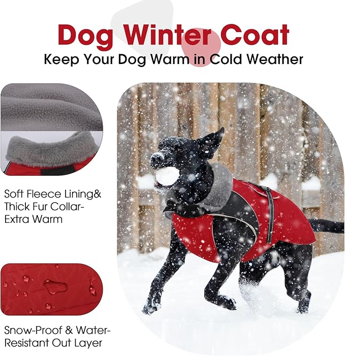 Nanaki Small Dog Coat for Winter Waterproof, Warm Fleece Lining Furry Collar Dog Jacket with Leash Hole, Reflective Adjustable Cold Weather Puppy Pet Snow Jacket Vest Outdoor Walking Hunting, Red M
