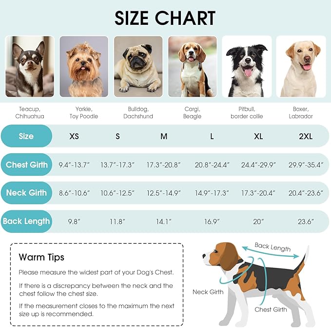 Queenmore Winter Coat, Fleece Puffer Down Vest, Cold Weather Pet Jacket, Waterproof Reflective Reversible Sweater Clothes for Small, Medium and Large Dogs (Light Blue, S)
