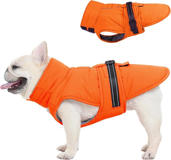 Medium Dog Coat, Warm Dog Winter Jacket, Waterproof Dogs Snowsuit With Foldable High Collar, Reflective Strips, Leash Hole, And Adjustable Hook & Loop Closure - Ideal For Cold Weather- Orange M