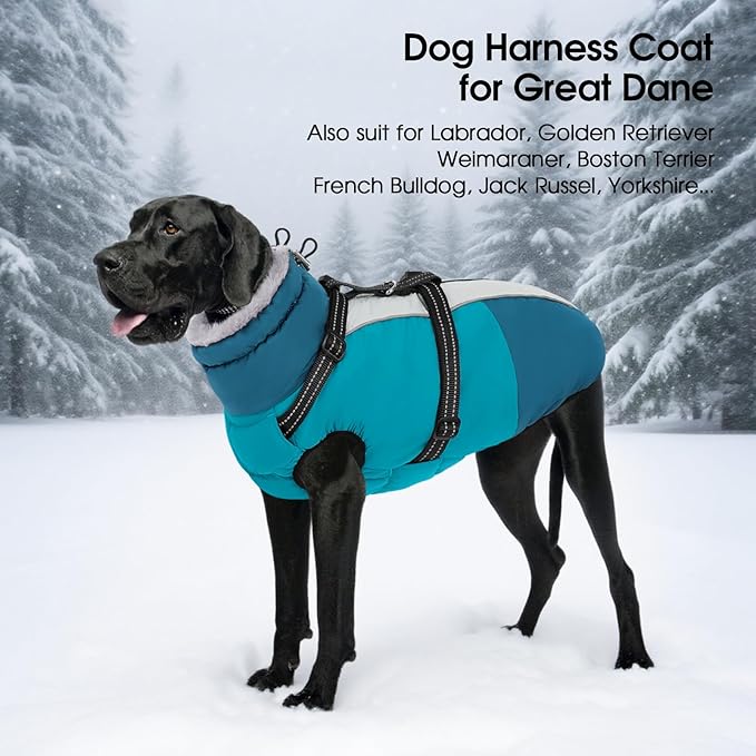 SUNFURA Small Dog Coat with Harness Built-in, Warm Dog Jacket with Zip, Reflective Winter Coat Pet Sweater Clothes for Small Dogs Schnauzer, Yorkshire Terrier, Shih Tzu, Turquoise S