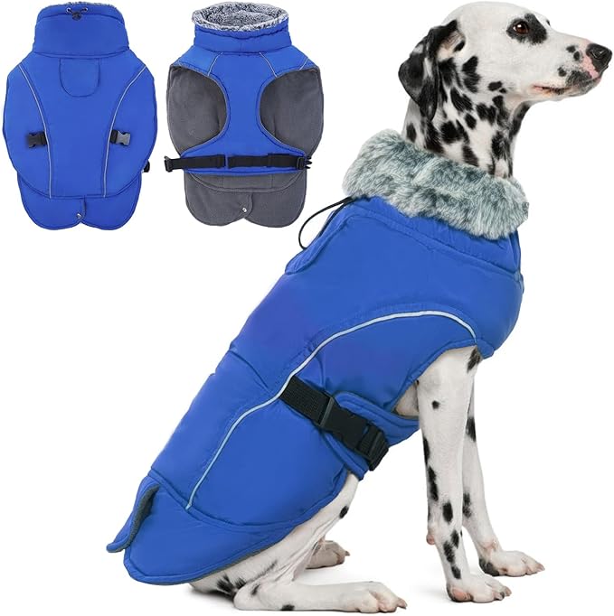 DENTRUN Medium Dog Winter Jacket - Warm Reflective Windproof Coat, Adjustable Neck & Snap Closure, Water Repellent Thick Fleece Vest, Fleece Lined for Beagle Pug, Blue, M