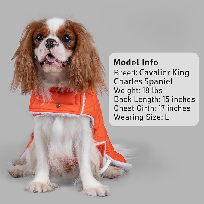 KYEESE Dog Coat Waterproof Cat Clothes for Cold Weather Windproof Pet Sweater with Fleece Lined Thick Dog Coats for Medium Dogs Soft Dogs Jacket with Pocket Warm Pet Winter Puffer Coat with Leash Hole