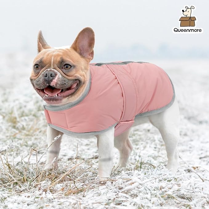 Queenmore Dog Winter Coat, Fleece Puffer Dog Down Vest, Cold Weather Pet Jacket for Dogs, Waterproof Reflective Reversible Dog Sweater Clothes for Small, Medium and Large Dogs (Light Pink, L)