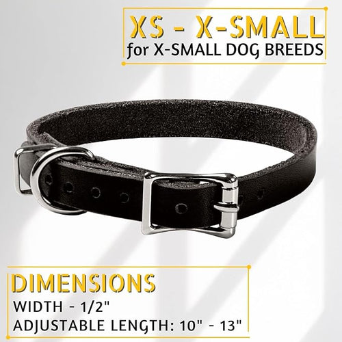 ADITYNA Extra-Small Leather Dog Collar for XS Dogs - Classic, Soft, Strong, Heavy Duty, Handmade Top-Grain Leather - for Walking, Training, and Hiking
