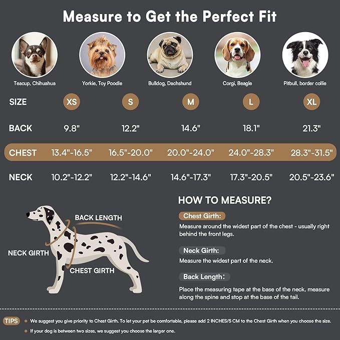 Queenmore Dog Winter Coat Warm Puffer Jacket Waterproof Plush Lining Thermal Cold Weather Vest for Small Medium Large Dogs, Windproof Easy On Pet Jacket Yellow XS