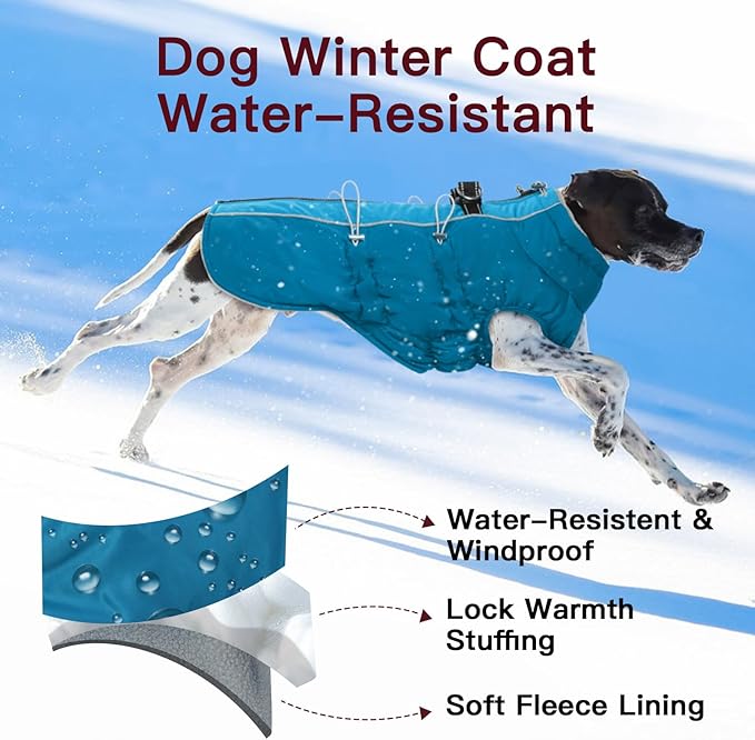 Medium Dog Winter Jacket - Warm Reflective Water-Resistant Snowsuit for Medium Dogs, Green