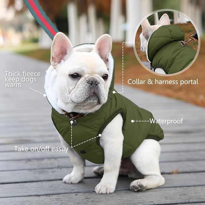 Fleece Hoodie, Windproof Waterproof Coat, Winter Warm Jacket, Cold Weather Pet Apparel Clothes Vest for Small Medium Large Dogs (S, Green)