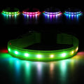 LED Dog Collar, Light Up Dog Collar, USB Rechargeable - Brightest Dog Lights for Night Walking, 6 Light Modes, Adjustable for Dog Safety(Large, Neon Green)