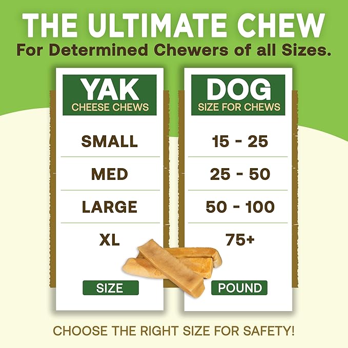 EcoKind Pet Treats Gold Himalayan Yak Cheese Dog Chew, Yak Dog Treats for Active Chewers, 100% Natural & Healthy Chew Sticks for Small & Large Dogs, Yak Cheese Chews (3 Medium Sticks)