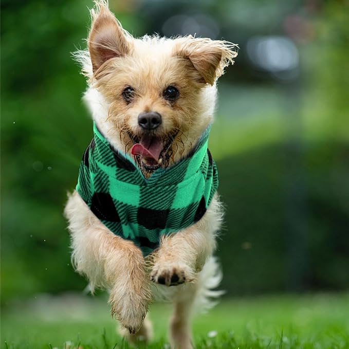 Kama Bridal 3 Pack Dog Coat - Spring, Autumn, Winter - Fleece Vest for Cats & Small/Medium Dogs - Blue, Green, Black Plaid (XS)
