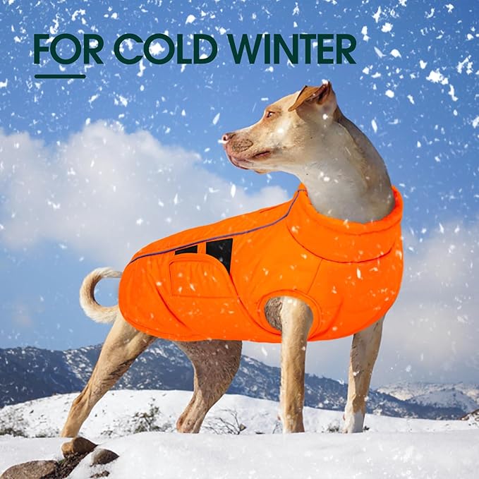 Kuoser Dog Jacket, Winter Dog Coats for Medium Dogs, Reflective Doggie Cold Weather Coats Pet Clothes, Puppy Snow Jacket for Frech Bulldog, Boston Terrier, Orange L