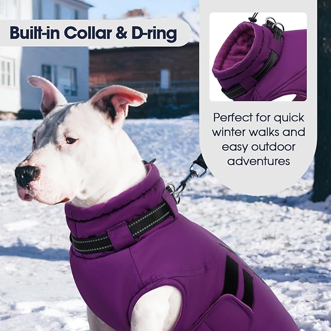 IECOii Small Dog Coat, Waterproof Dog Snow Jacket with Built in Collar, Thermal Fleece Lined for Cold Weather, Safety Reflective Dogs Winter Coat for Nighttime Walks, Easy On/Off, Purple - M